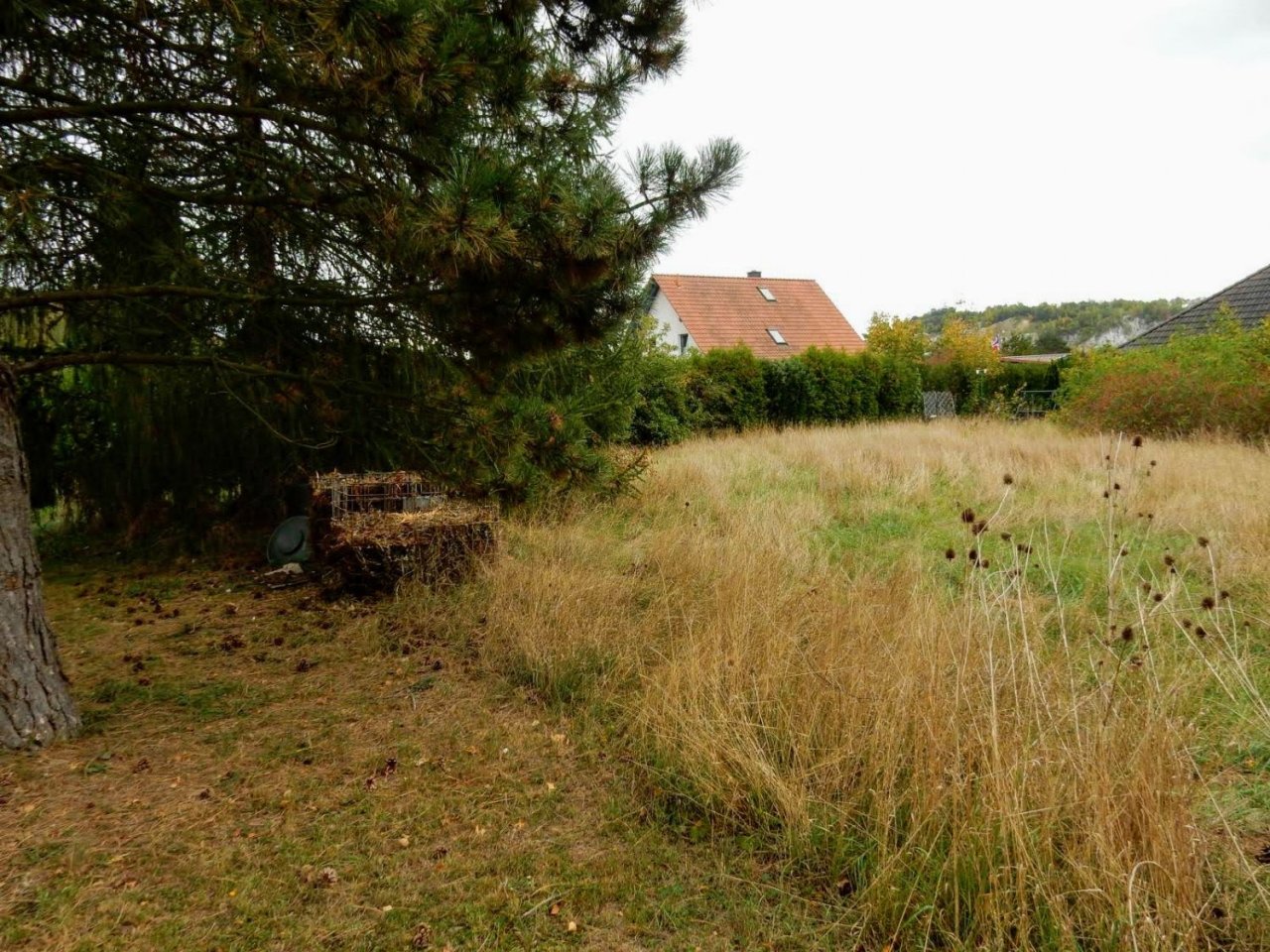 Großes Baugrundstück, auch teilbar, in ruhiger Lage am Stadtrand von Ellrich im Südharz