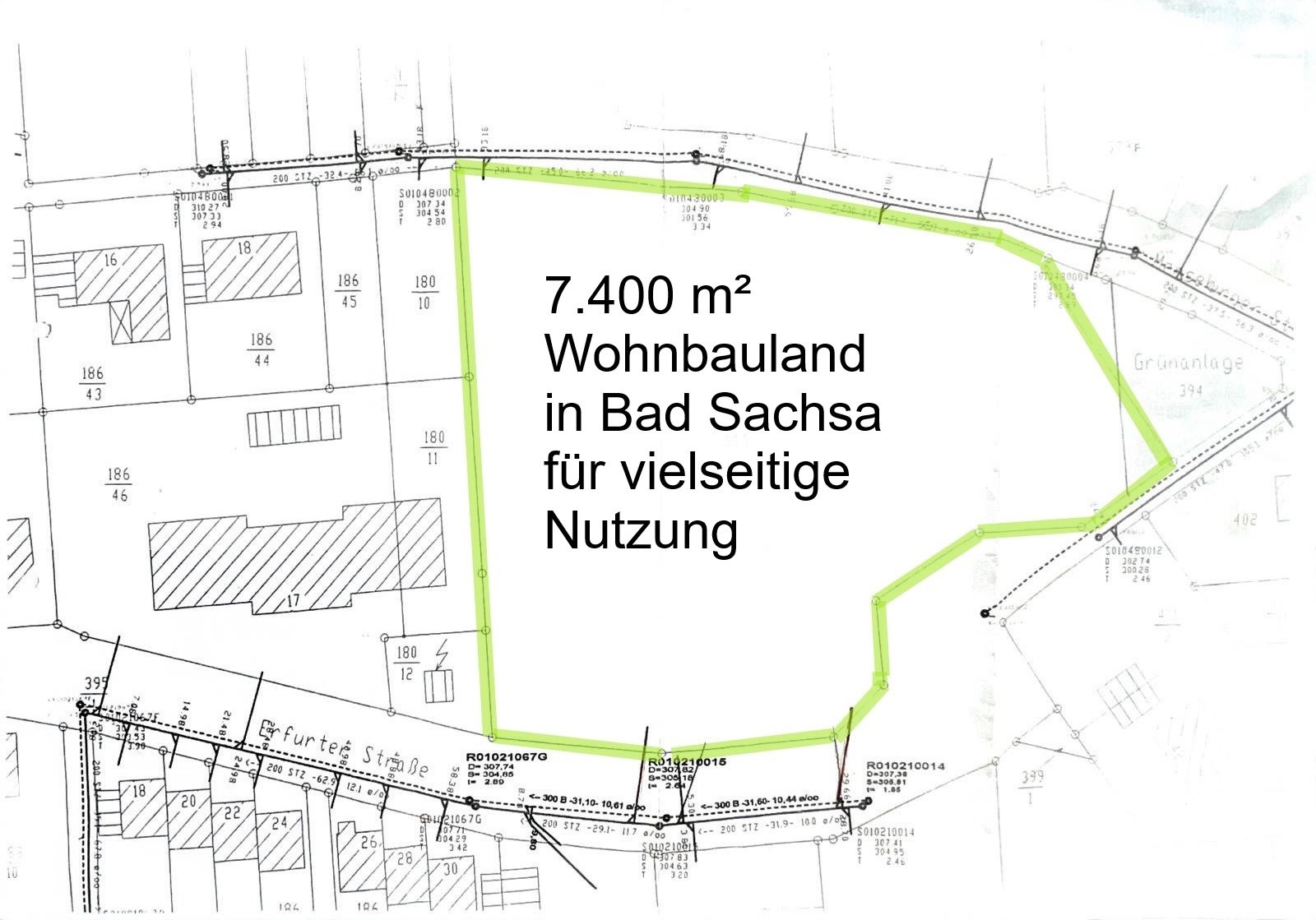 Baugrundstück in Bad Sachsa: 7.400 m² Wohnbauland für vielseitige Nutzung