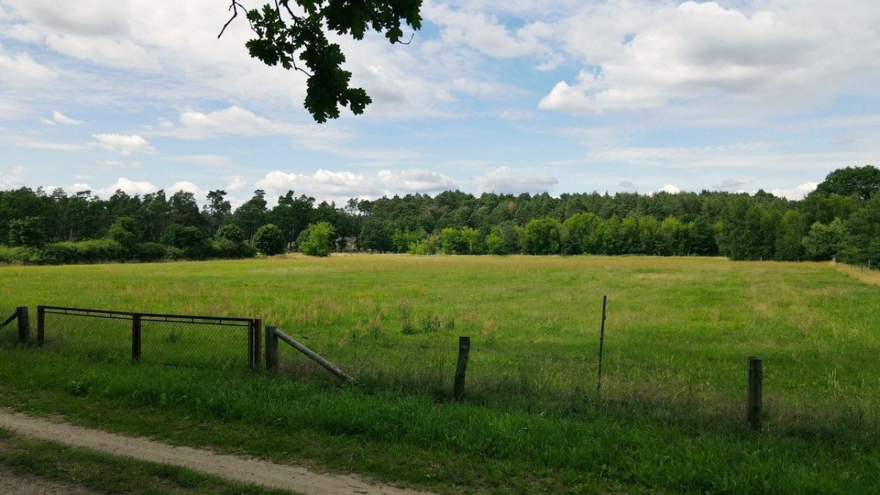 Baugrundstück